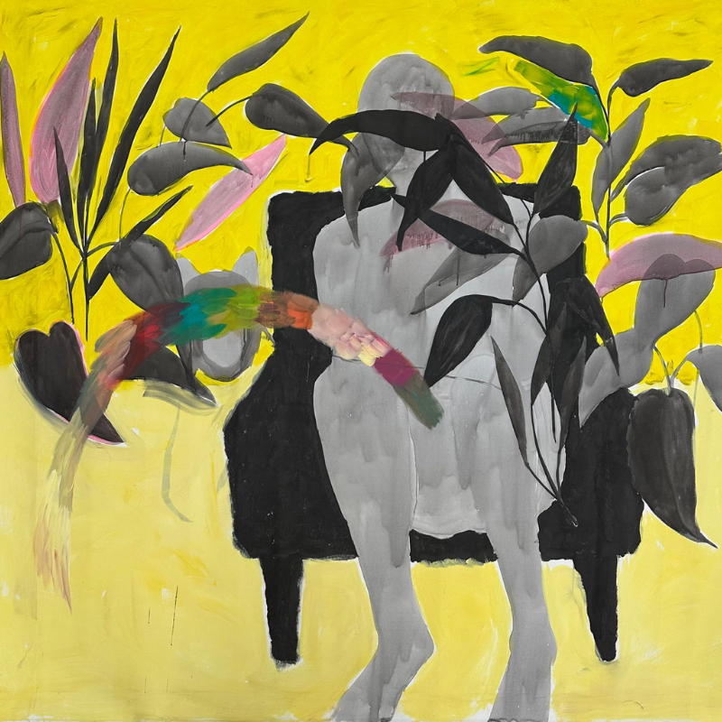 Plantes d'intérieur